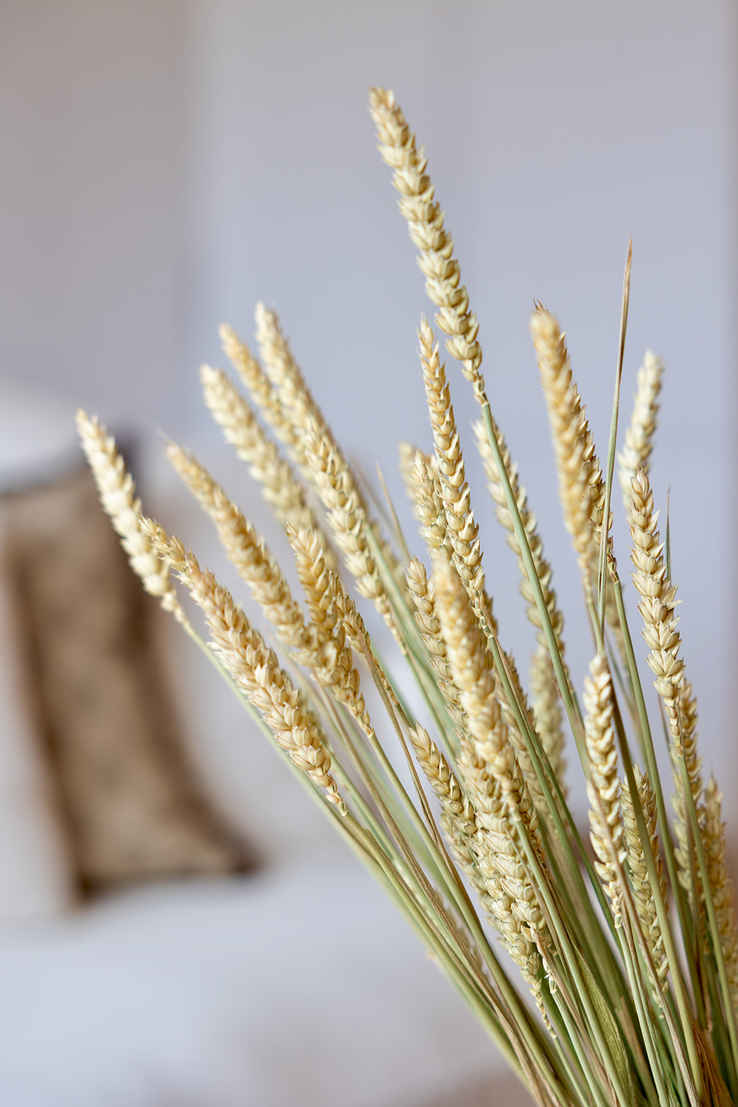 Ramo de espigas de trigo doradas sobre un fondo claro. Las espigas están erguidas y muestran sus granos maduros. En segundo plano se aprecia una superficie de madera desenfocada.