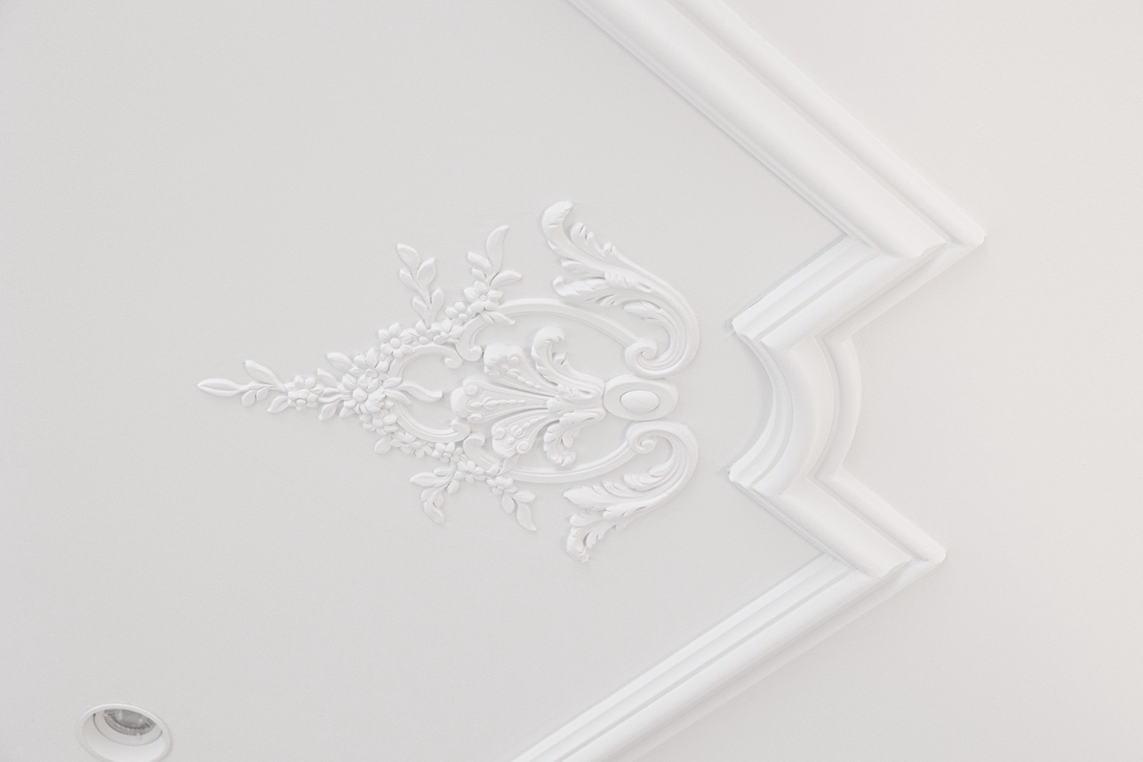 Detalle ornamental en relieve de un techo blanco con diseño floral y motivos curvilíneos. La decoración en estuco blanco contrasta sutilmente con el fondo, creando un efecto elegante y refinado.