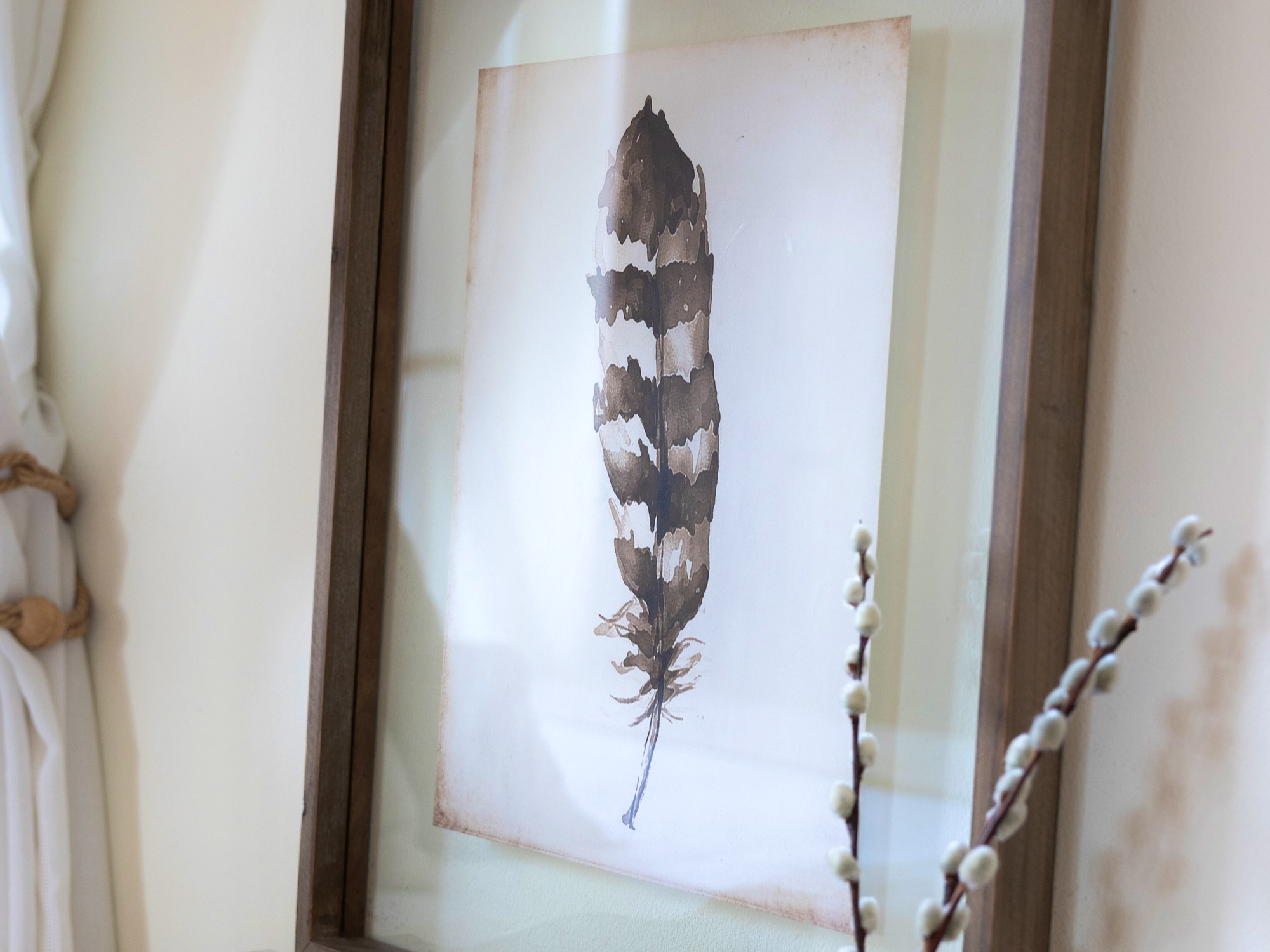 Pintura en acuarela de una pluma rayada en tonos marrones sobre fondo blanco, enmarcada en un marco de madera oscura, con ramas decorativas de sauce blanco a un lado