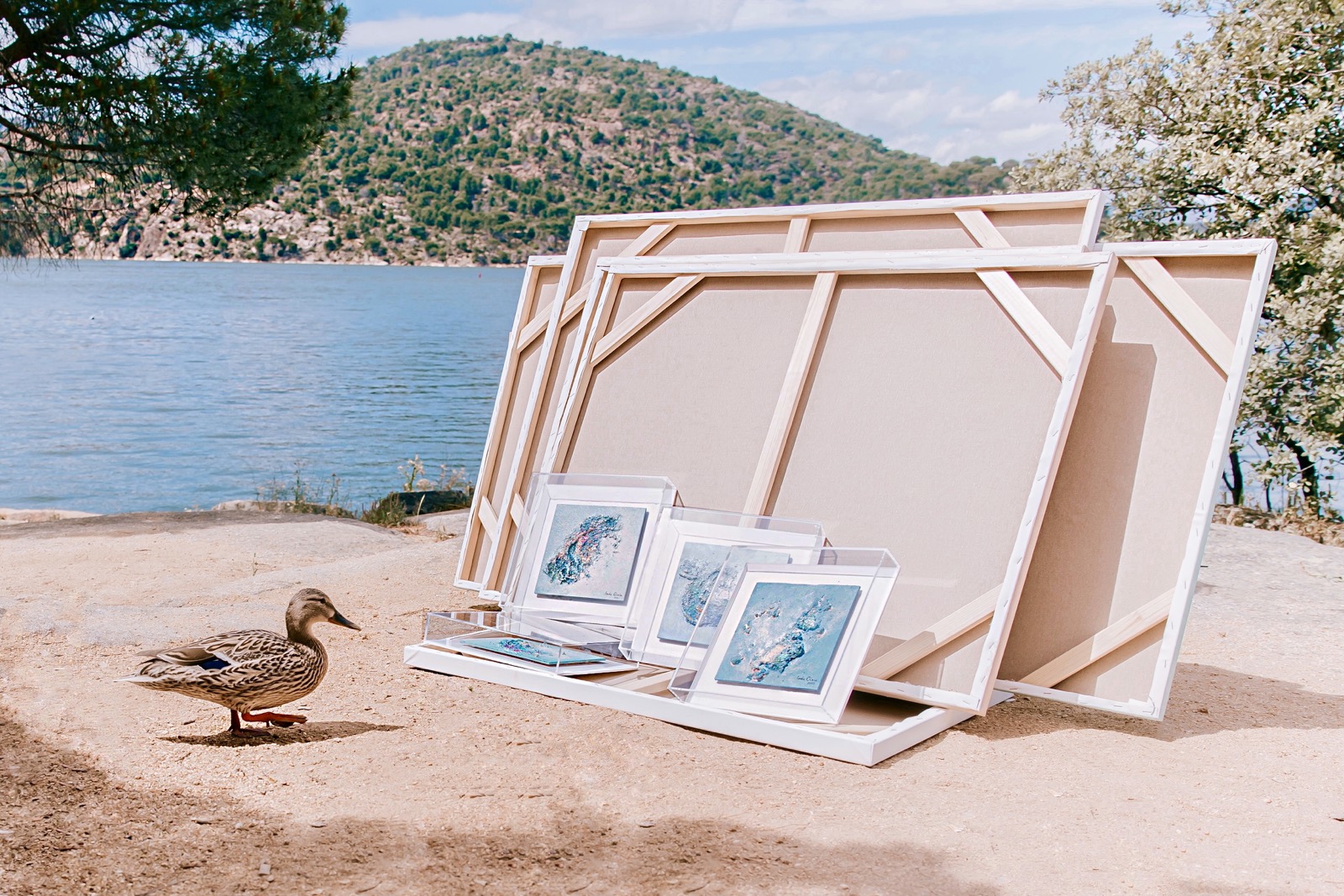 Lienzos en blanco y cuadros de arte junto a un lago con un pato caminando cerca. Montañas y árboles en el fondo.