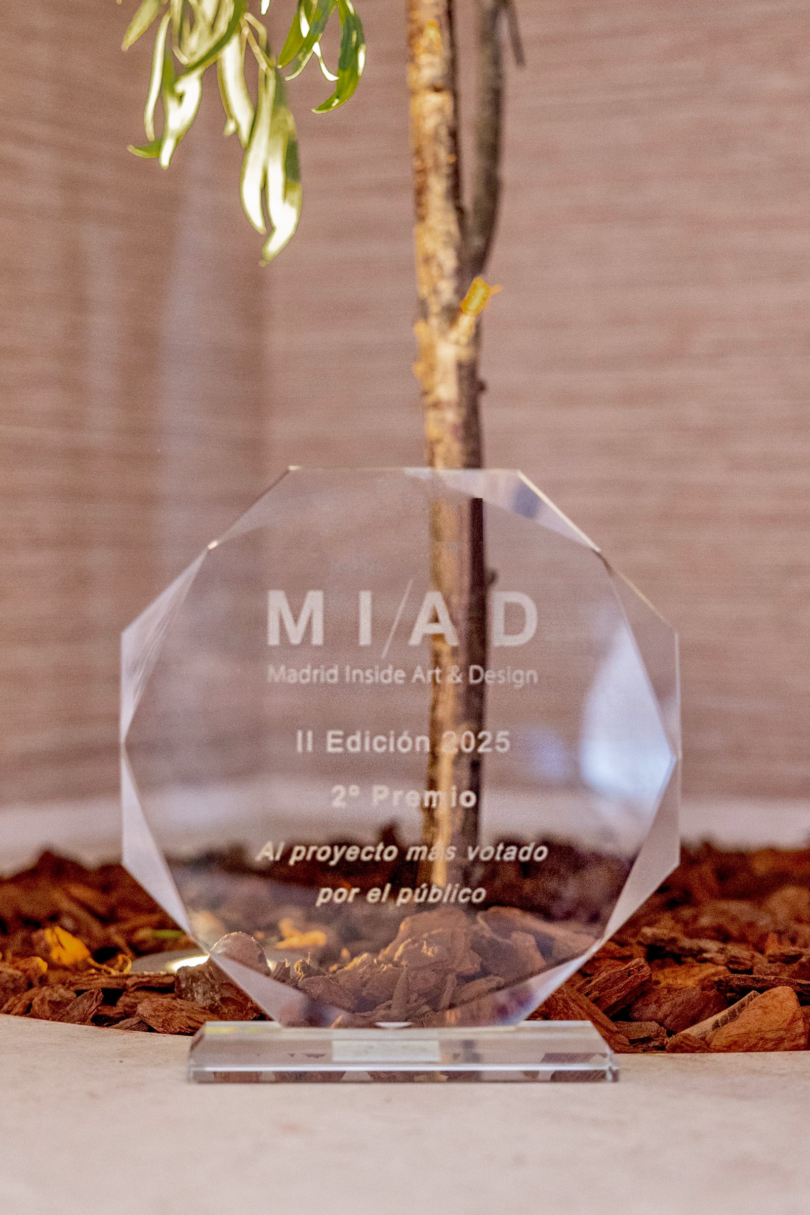 Premio de vidrio transparente de la segunda edición de MIAD (Madrid Inside Art & Design), con inscripción sobre un fondo de corteza y hojas verdes