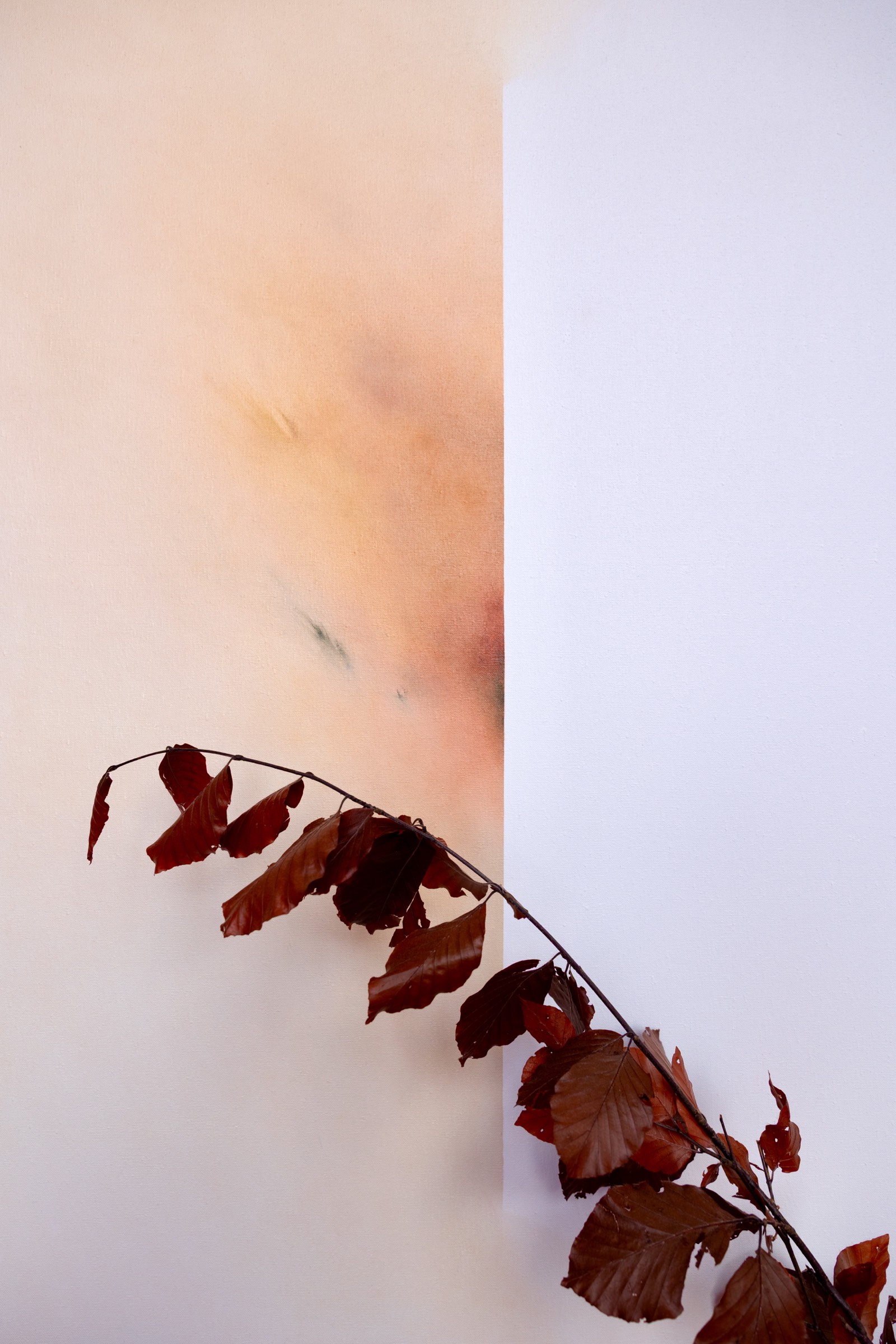 Rama curvada con hojas secas de color rojo oscuro sobre un fondo degradado de tonos melocotón y blanco