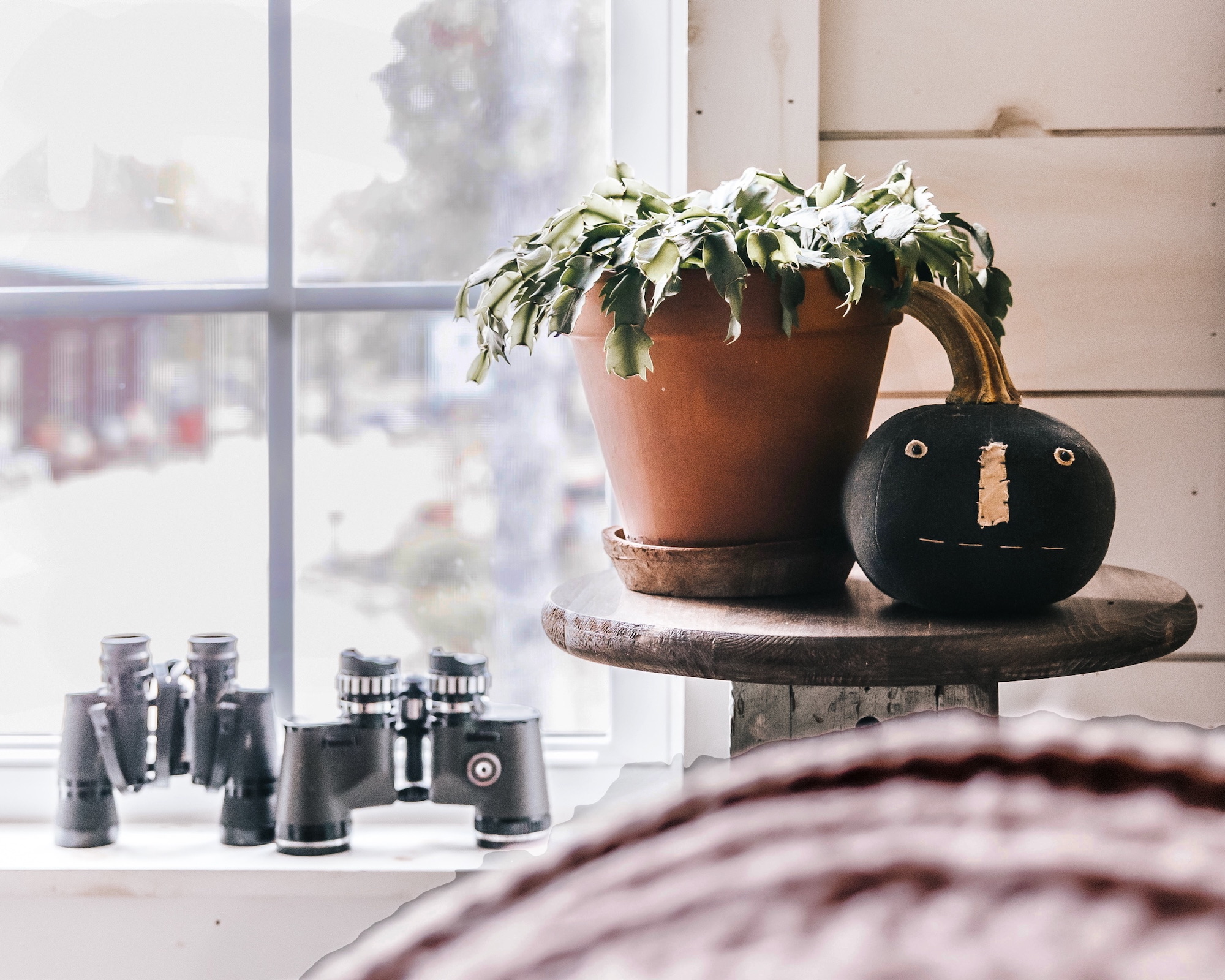 Composición junto a una ventana con una maceta de terracota con planta de hojas verdes y blancas, una calabaza negra decorativa con cara pintada sobre una base de madera redonda, y unos prismáticos en primer plano