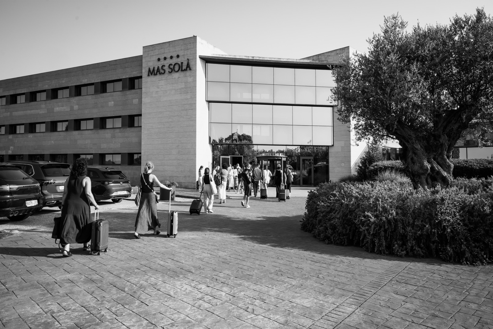 Edificio Mas Sola con personas caminando hacia la entrada, con coches estacionados y un árbol grande en primer plano