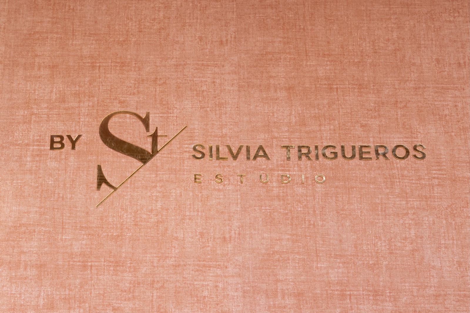 Logotipo dorado de Silvia Trigueros Estudio sobre un fondo texturizado en tonos rosados