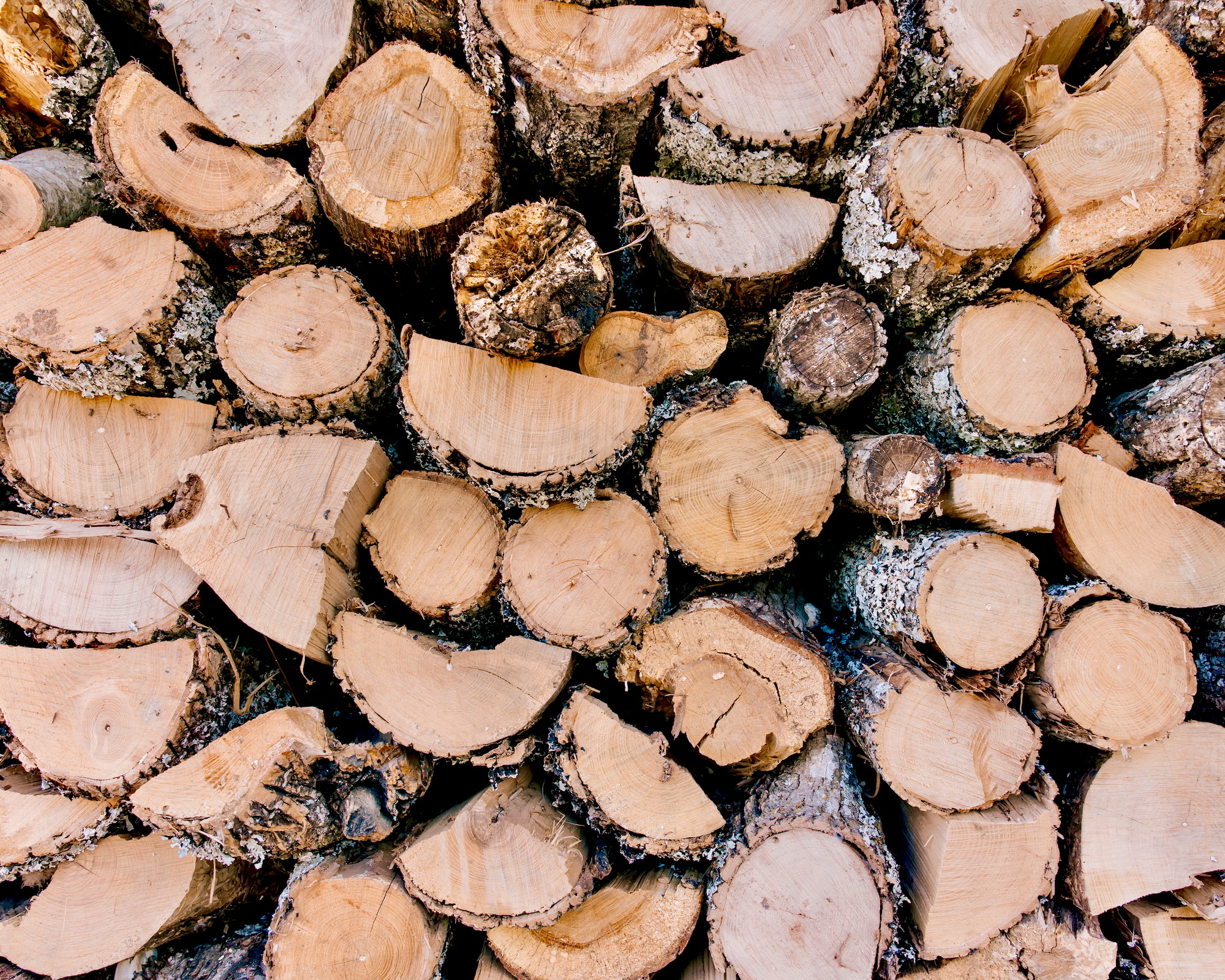 Pila de troncos de madera cortados y apilados mostrando los anillos naturales en sus extremos. Los troncos tienen corteza en los bordes y presentan una textura natural con tonos cálidos marrones y beige.