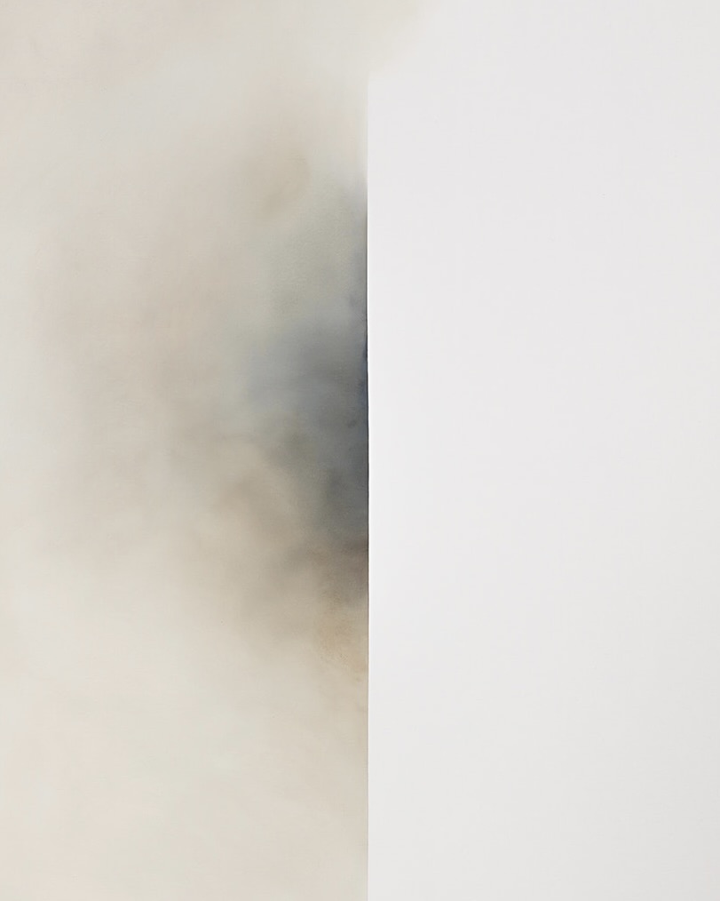 Imagen abstracta con un contraste sutil entre una sección nebulosa gris claro y una sección blanca pura. La transición entre las dos áreas es suave y gradual, creando un efecto etéreo y minimalista.